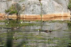Agder - Kristiansand - Baneheia - Kristianiafjorden