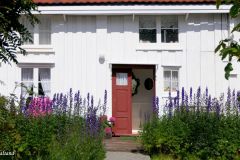 Møre og Romsdal - Kristiansund - Grip