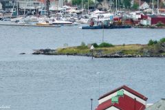 Rogaland - Stavanger - Natvigs Minde - Skulptur - Broken Column 00 (Antony Gormley, 2003)