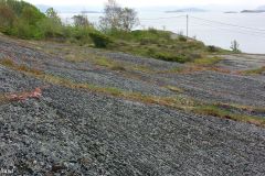 Rogaland - Stavanger - Austre Åmøy helleristninger