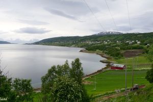 Kvæfjord