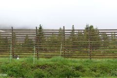Troms og Finnmark - Kvænangen