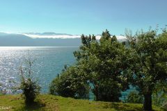 Hordaland - Kvam - Hardangerfjorden - Fv7 - Steinstø