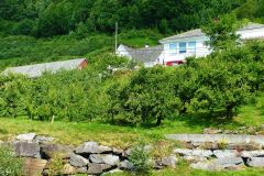 Hordaland - Kvam - Hardangerfjorden - Fv7