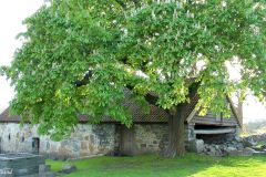 Hordaland - Kvinnherad - Halsnøy Kloster