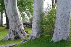 Hordaland - Kvinnherad - Halsnøy Kloster
