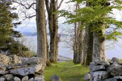 Hordaland - Kvinnherad - Halsnøy Kloster