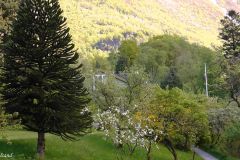Hordaland - Kvinnherad - Rosendal Baroni