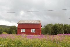 Troms og Finnmark - Lebesby - Sentrum