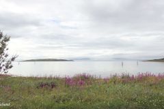 Troms og Finnmark - Lebesby - Sentrum