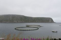Troms og Finnmark - Lebesby - Dyfjord