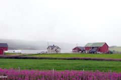 Troms og Finnmark - Lebesby - Bekkarfjord