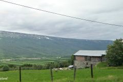Innlandet - Lesja