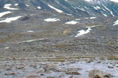 Innlandet - Lom - Jotunheimen - Krysning av Visa