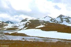 Innlandet - Lom - Jotunheimen - Mye snøfenner