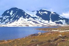 Oppland - Lom - Jotunheimen - Fra snø mot grad ved Langvatnet