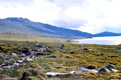 Innlandet - Lom - Jotunheimen - Bortover Langvatnet