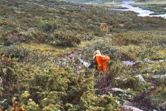 Innlandet - Lom - Jotunheimen - Nedover Storadalen, øverst