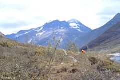 Innlandet - Lom - Jotunheimen - Nedover Storadalen, nederst
