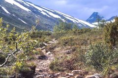 Innlandet - Lom - Jotunheimen - Bakoverblikk i Storådalen