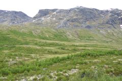 Innlandet - Lom - Sognefjellsvegen - Leirdalen
