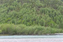 Innlandet - Lom - Elva Bøvre
