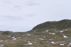 Vestland - Luster - Sognefjellsvegen