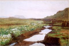Kitty Lange Kielland (1843-1914) - Torvmyr (studie) (1897) (Foto Nasjonalmuseet)