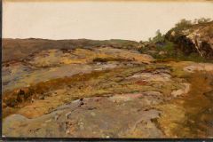 Nikolai Ulfsten (1854-1885) - Fra Jærens innland (Foto Nasjonalmuseet)