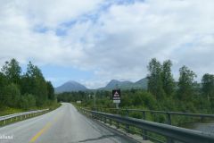 Troms og Finnmark - Målselv - E6