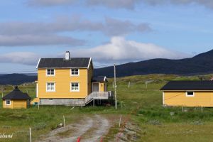 Måsøy