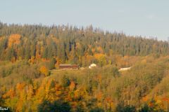 Trøndelag - Melhus