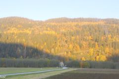 Trøndelag - Melhus