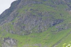 Nordland - Moskenes - Å - Mengelsdalstinden