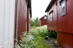 Nordland - Moskenes - Å - Museum Nord - Norsk Fiskeværsmuseum - Bak Øvergården (tv) - Stabburet