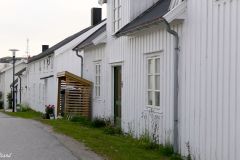 Trøndelag - Vikna - Rørvik