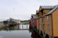 Trøndelag - Vikna - Rørvik