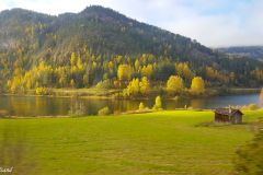 Buskerud - Nesbyen