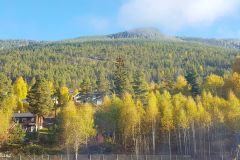 Buskerud - Nesbyen