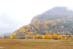 Innlandet - Nord-Fron