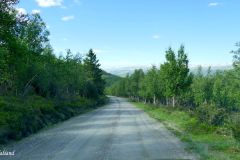 Innlandet - Nord-Fron - Peer Gynt seterveg