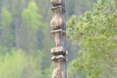 Buskerud - Nore og Uvdal - Nore stavkirke