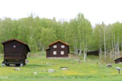 Buskerud - Nore og Uvdal - Nore og Uvdal bygdetun