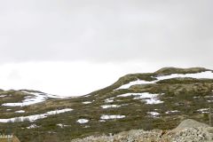 Buskerud - Nore og Uvdal