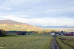 Trøndelag - Oppdal