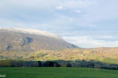 Trøndelag - Oppdal