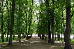 Oslo - Slottsparken