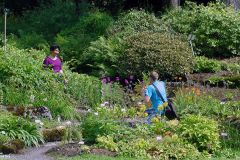 Oslo - Botanisk Hage