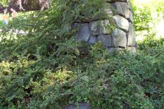 Oslo - Vår Frelsers gravlund - Æreslunden - C.J. Hambro