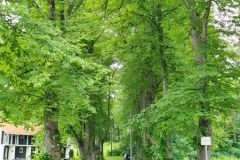 Oslo - Bygdøy - Strømsborgveien